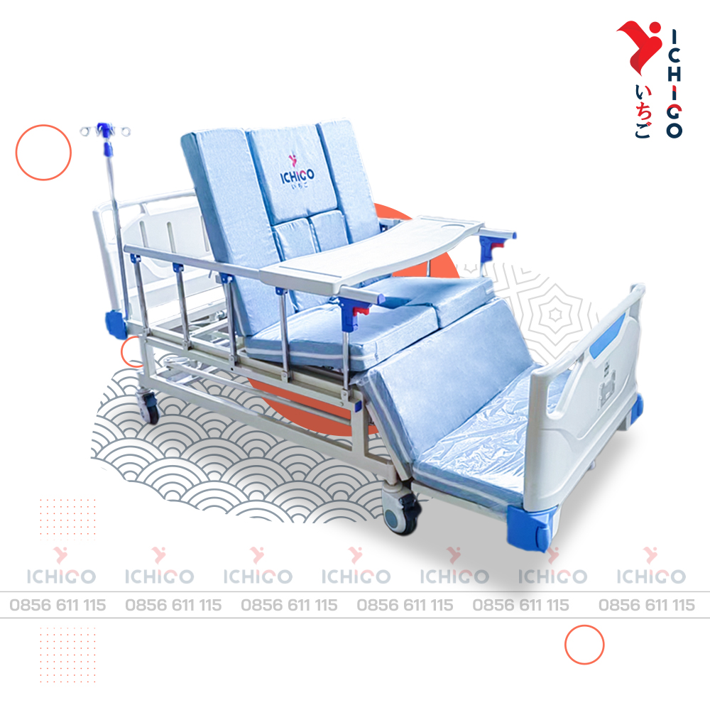 Xe điện 3 bánh 2 chổ ngồi dành cho người già và người tàn tật