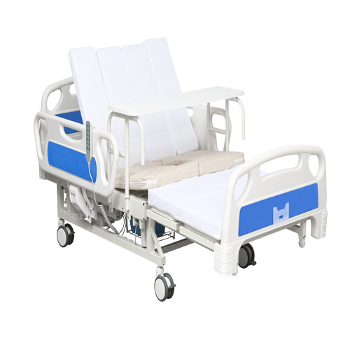  Giường Y Tế Điện Chibancare CN-E02A