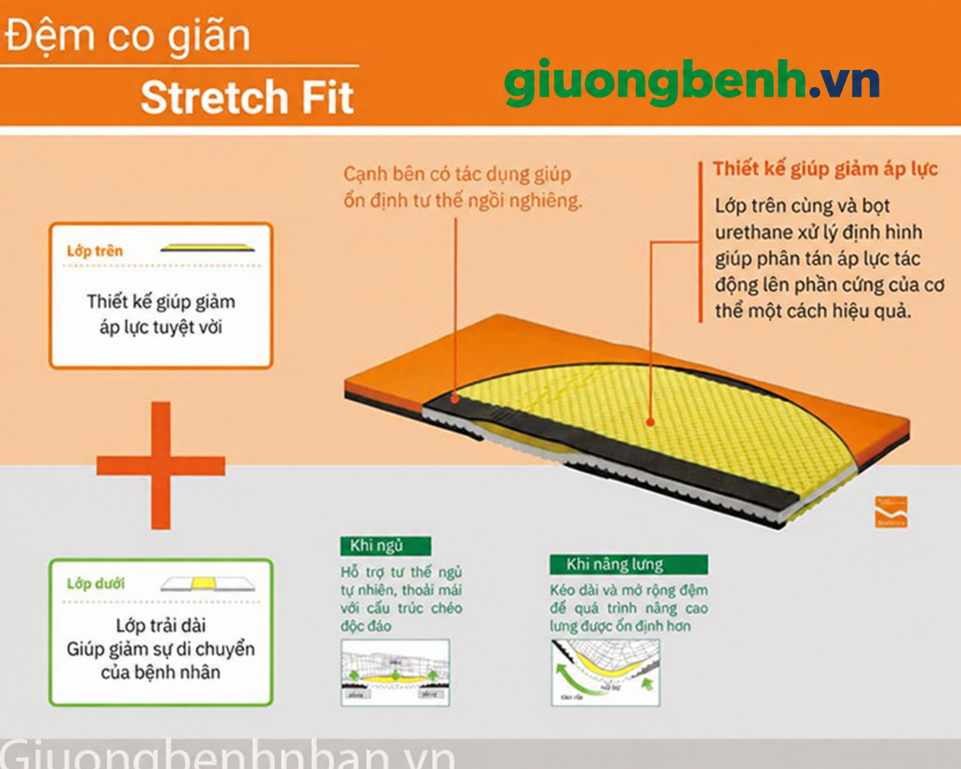 Giường Paramount Bed Rakusho Z