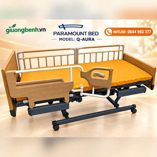 Giường Paramount Bed Rakusho Z
